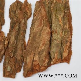 樟木 香樟皮  无污染图2