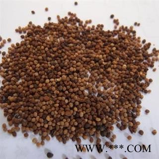 菟丝子 水洗 正品 统 产地 内蒙古自治区图2