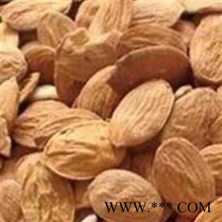 桃仁 扁桃仁统货 产地 山东省图2