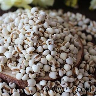 煜庭药业 薏米 大薏米 薏苡仁图3