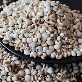 煜庭药业 薏米 大薏米 薏苡仁图2