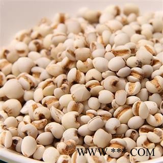 煜庭药业 薏米 大薏米 薏苡仁图4