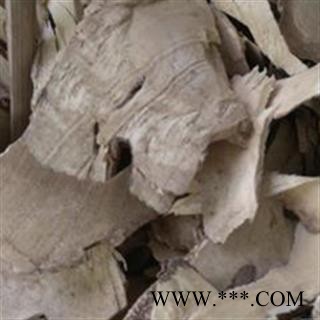 黄花倒水莲 统图2