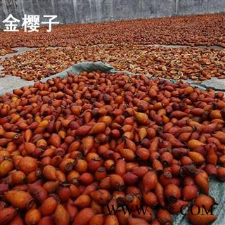 煜庭药业 金樱子图2