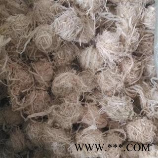 竹茹球 选 产地 浙江省 国药堂 专注品质图2