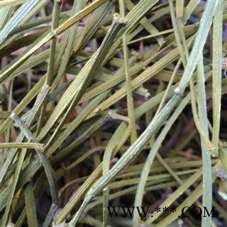 柄果槲寄生 无叶寄生 螃蟹脚 正品保证质量7天无理由退货退款 华安堂图3