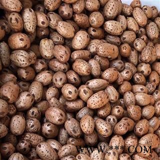 五眼果 南酸枣 菩提散珠 无眼子五眼六通 统货 产地 广西壮族自治区 买好药找娟子图2