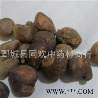 【马槟榔】@【同欢药材】中药材批发供应  规格齐全 量大从优  产地 广东省图3