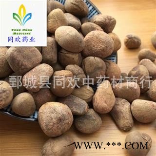 【大枫子选货】@【同欢药材】中药材批发供应  规格齐全 量大从优  产地 广西壮族自治区图1