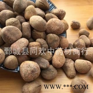 【大枫子选货】@【同欢药材】中药材批发供应  规格齐全 量大从优  产地 广西壮族自治区图3