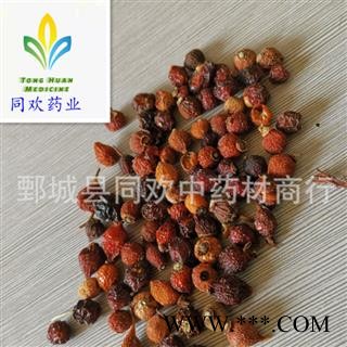 【刺玫果】@【同欢药材】中药材批发供应  规格齐全 量大从优 产地 黑龙江省图1