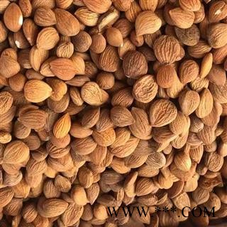 娟子中药 苦杏仁 杏仁  统 产地 河北省图2