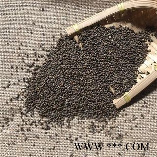紫苏子 紫苏子净货 产地 河北省 买好药找娟子图2