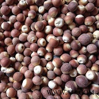 芡实 芡实12-13mm选货 产地 广东省肇庆市德庆县 买好药找娟子 专业批发图3