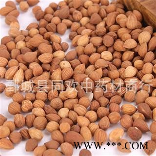 【郁李仁选货】@【同欢药材】中药材批发供应  规格齐全 量大从优  产地 内蒙古自治区图3