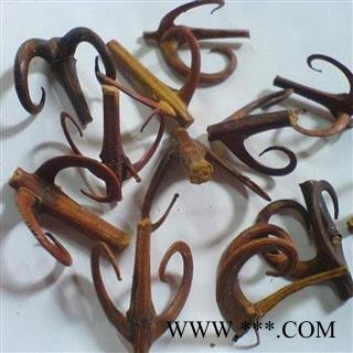 钩藤 含钩85%以上 产地 湖南省 华美中药 产地直销 重在品质图2