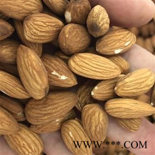 巴旦杏仁 甜杏仁 食用甜杏仁 产地 新疆维吾尔自治区 买好药找娟子图3