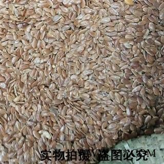 亚麻子 胡麻仁 产地 河北省  各种籽药批发 娟子中药图3