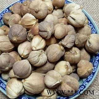 豆蔻 白豆蔻选货 产地 广西壮族自治区 买好药材找娟子 专业批发图4