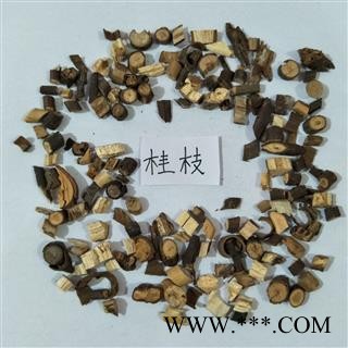 桂枝 桂枝0.6尖。桂枝尖 产地 广西壮族自治区图3