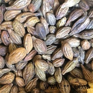 诃子统个 金柯子 正品 诃子(荆柯子)产地 新疆维吾尔自治区 买好药找娟子图3