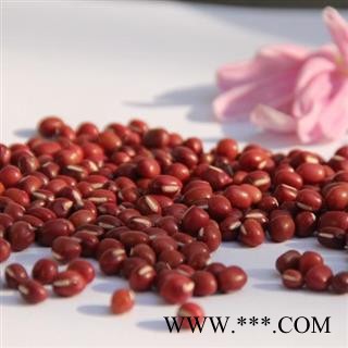 赤小豆 统货 产地 山西省  娟子中药图2