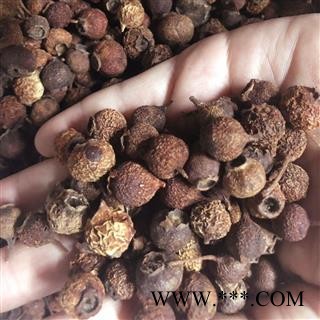 野山楂 野山楂 山楂豆 南山楂 小叶山楂 野山楂 山楂豆 南山楂 小叶山楂 产地 陕西省 买好药找娟子图3