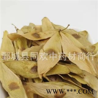 【凤眼草】@【同欢药材】中药材批发供应 产地 河北省  规格齐全 量大从优图3