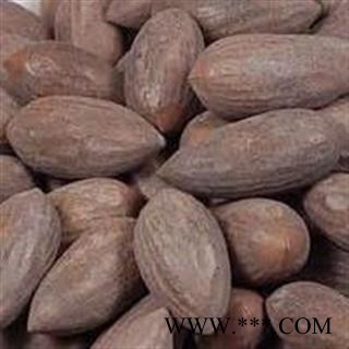 榧子 榧子统货 产地 福建省 娟子中药图3