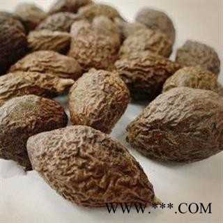 胖大海 胖大海长粒选货 产地 海外 娟子中药图4