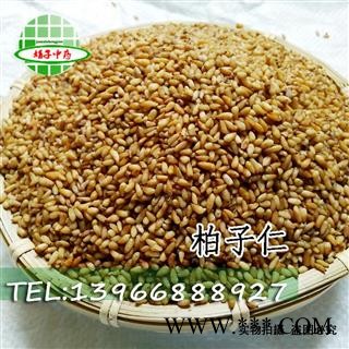 娟子中药批发 正品柏子仁 纯净货 无壳 无杂质 无加重 柏子仁 统货 产地 山东省潍坊市临朐县 库存 买好药找娟子图2