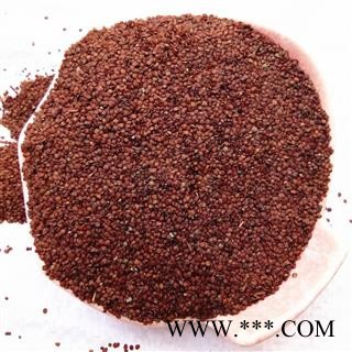 木天蓼子 木天蓼根 产地 四川省 买好药找娟子 专业批发图4