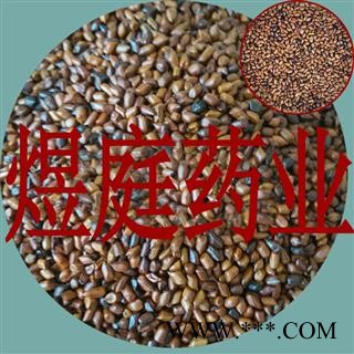 煜庭药业 决明子 炒决明子 炒决明籽