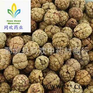 【云南草豆蔻】@【同欢药材】中药材批发供应  规格齐全 量大从优 产地 云南省图1