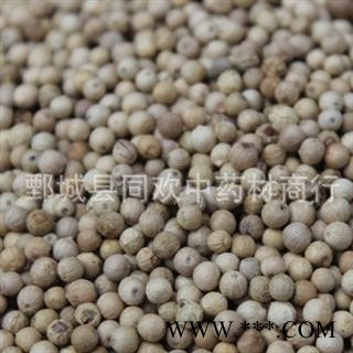【精品白胡椒】@【同欢药材】中药材批发供应   规格齐全 量大从优  产地 海南省图2