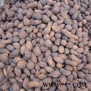 娟子中药 草果 统货 产地 广西壮族自治区北海市合浦县图3