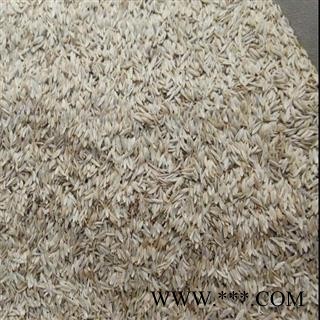 白巨胜 巨胜子   产地 河北省 买好药找娟子图3