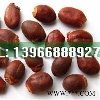 娟子中药批发 荔枝核 统货 产地 广西壮族自治区桂林市市辖区图3