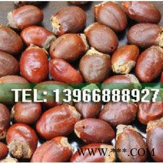 娟子中药批发 荔枝核 统货 产地 广西壮族自治区桂林市市辖区图2