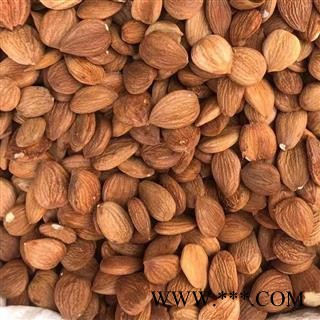 杏仁 甜杏仁 苦杏仁 桃仁都有售 产地 河北省 买好药找娟子图2