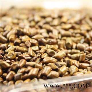 娟子中药批发 决明子 统 产地 河南省平顶山市宝丰县量大从优图3