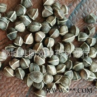 【中粒辣木籽】@【同欢药材】中药材批发供应  规格齐全 量大从优  产地 海外图3