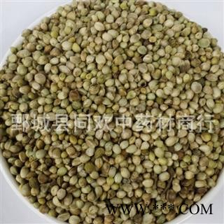 【大粒带壳火麻仁】@【同欢药材】中药材批发供应  规格齐全 量大从优 产地 甘肃省图2