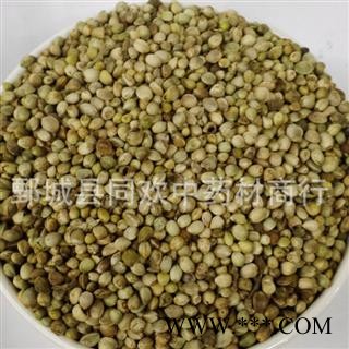 【大粒带壳火麻仁】@【同欢药材】中药材批发供应  规格齐全 量大从优 产地 甘肃省图3