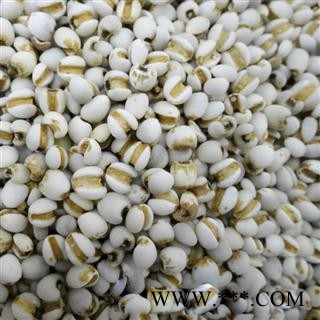 薏米 薏米仁 薏仁米 薏苡仁 国产薏苡仁98米 产地 贵州省 买好药找娟子图2