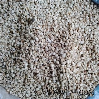 薏米 薏米仁 薏仁米 薏苡仁 国产薏苡仁98米 产地 贵州省 买好药找娟子图3