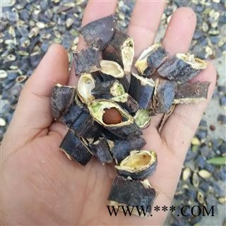 皂角 皂角大片 豫统 产地 山东省 娟子中药图2