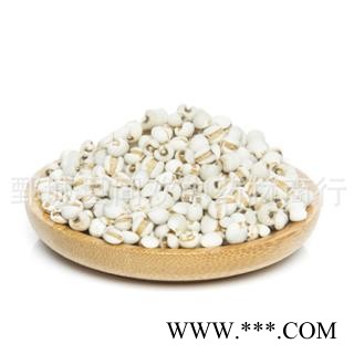【大粒薏苡仁】@【同欢药材】中药材批发供应  规格齐全 量大从优  产地 海外图2