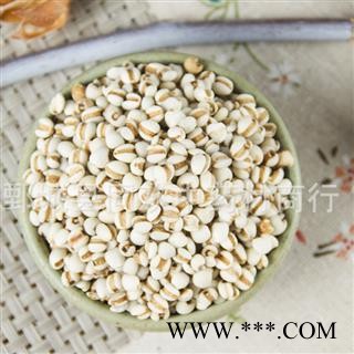 【大粒薏苡仁】@【同欢药材】中药材批发供应  规格齐全 量大从优  产地 海外图3