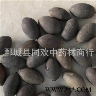 【选货石莲子】@【同欢药材】中药材批发供应  规格齐全 量大从优  产地 湖南省图2